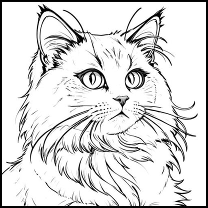 CAT BREEDS - Print-ready PDF Coloring Book with 75 High-Quality images of Cute Cats